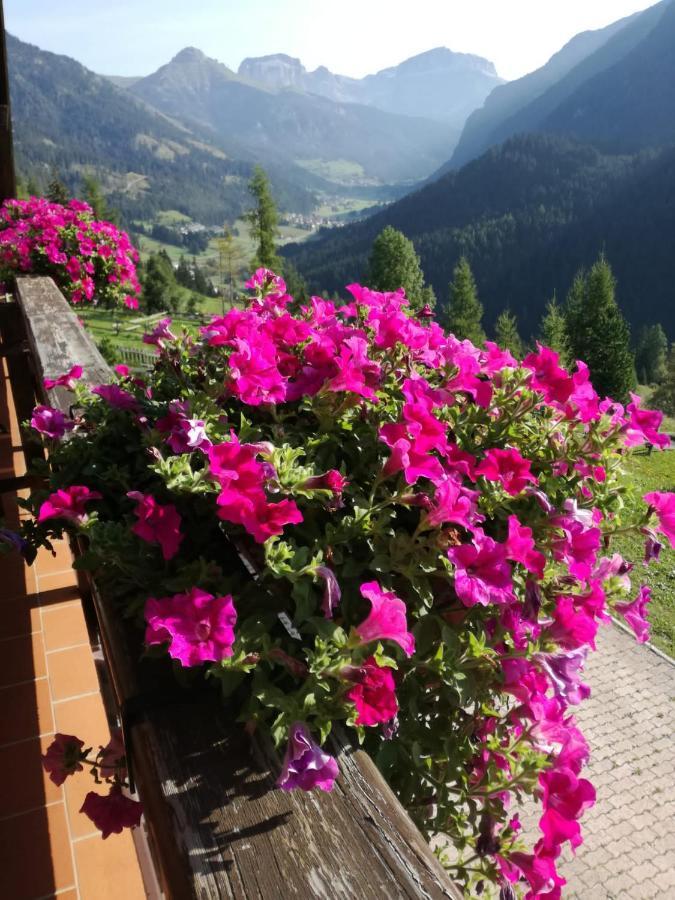 Chalet Relax Pozza di Fassa Eksteriør billede
