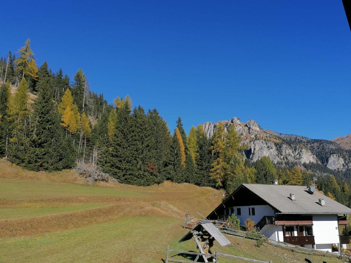 Chalet Relax Pozza di Fassa Eksteriør billede