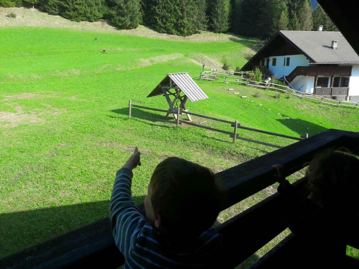 Chalet Relax Pozza di Fassa Eksteriør billede